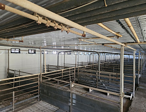 Rekonstrukce opláštění zemědělské haly